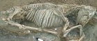В Греции обнаружен некрополь седьмого века до нашей эры.