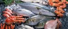 В Санкт-Петербурге  состоится первый фестиваль рыбы и морепродуктов